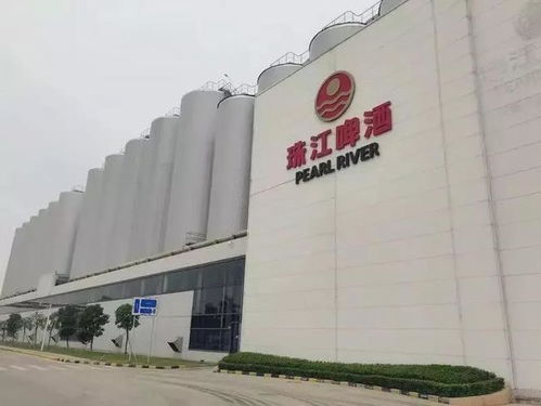 南沙崛起 廣州下一個琶醍，商務信息咨詢新機遇